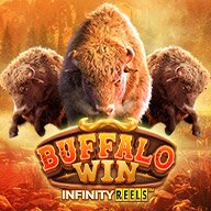buffalo